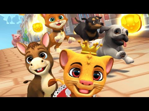 Pet Run : Pet Run Gameplay Walkthrough All Level ✅