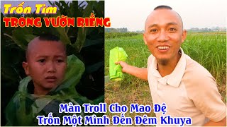 Trốn Tìm Trong Ruộng Riềng  Màn Troll Mao Đệ Trốn Một Mình Đến Tận Đêm Khuya