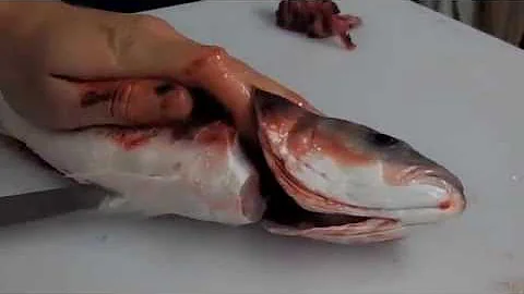 How to clean a Seabass