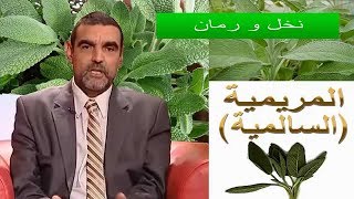‫نصائح  الدكتور محمد الفايد عن الصلع و الشيب و كل ما يخص الشعر ‬‎