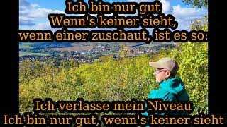 Max Raabe - Ich bin nur gut, wenn keiner guckt TEXT