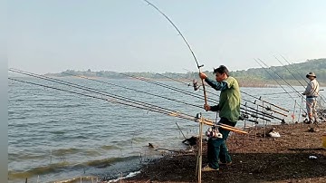 Săn thác lác cườm.cá kéo ngả luôn cây chống |tuấn sông rây
