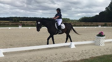 USDF Intro Test B 74.37%