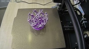 Beagleprint Time-lapse Video