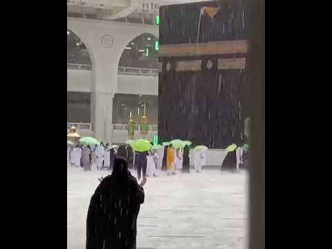 يرتوي الحب قلبي