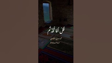 محمد صديق المنشاوي ، سورة الرعد 16 { قل أفاتخذتم من دونه أولياء }