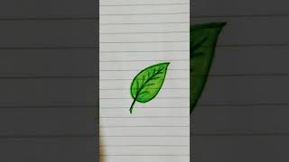 رسم ورقة شجر،خطوة بخطوة،سهل.