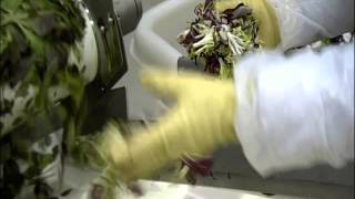 How Its Made Mixed Salad 4x3