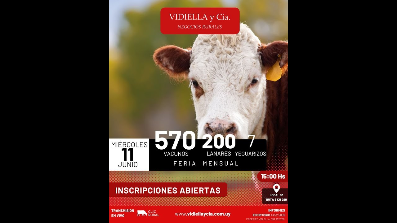 11/06/2025   Feria mensual - Vidiella y Cia /  Local 33 en la calera - Treinta y Tres