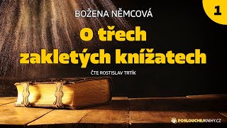 Božena Němcová: O třech zakletých knížatech (1/4)