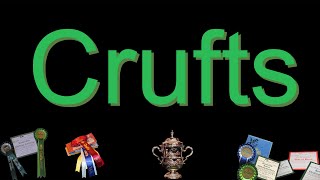 Crufts 2023 - Irish Setters by Irish Setters UK & Ireland 1,448 views 1 year ago 2 minutes, 4 seconds