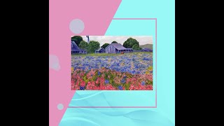 Bluebonnet Season in Texas - Plus FREE Gift Valued at 49.95