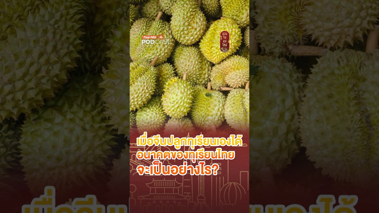 ความท้าทายอนาคตทุเรียนไทย เมื่อจีนเร่งวิจัยปลูกกินเอง