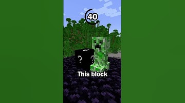 Guess the Minecraft block in 60 seconds 11