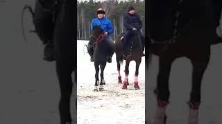 Московская область  🇳🇱🇰🇬 Кара Кулжа командасынын Мыкты аргымагы 🐴Тапанча