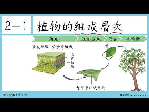 108選生二 2-1植物的組成層次_1植物的細胞