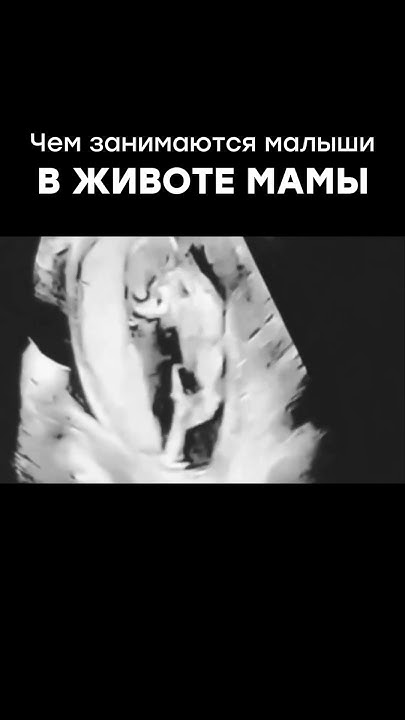 Чем занимаются малыши в животе мамы - YouTube