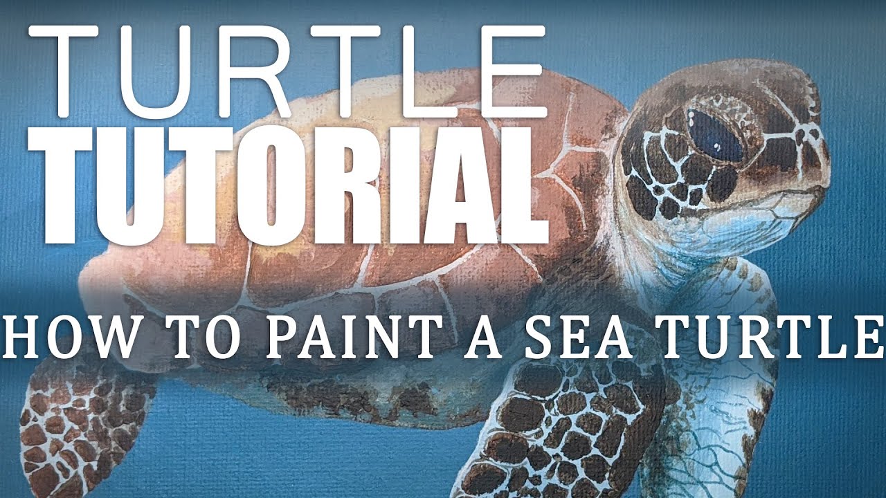 How to Paint a Sea Turtle - An Acrylic Tutorial - YouTube