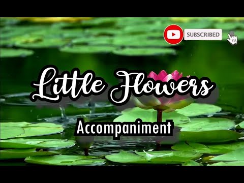 Little Flowers (never worry) | Accompaniment | minus one