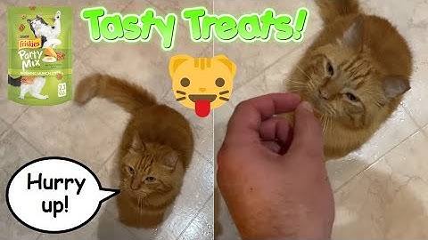 He Loves His New Treats