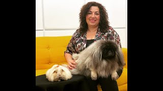 Mantenimiento de la raza Pekinés