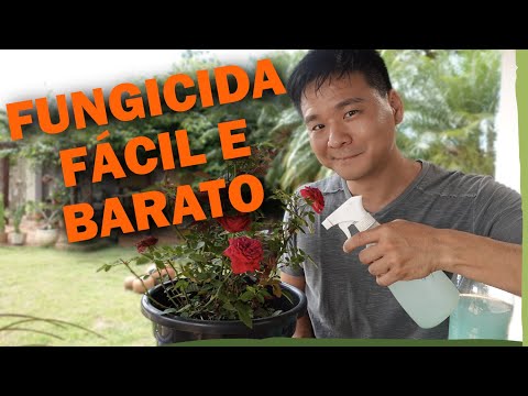 Vídeo: Usos de fungicida de cobre: quando usar fungicida de cobre no jardim