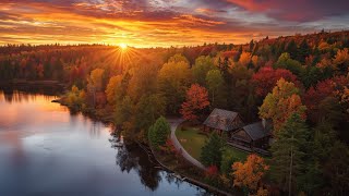 🌲 Whispers of the Forest – Deep House Chill & Relaxing Mix for Study and Work 2025