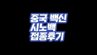 [ 중국특파원 ] 중국 백신 시노백 접종 후기