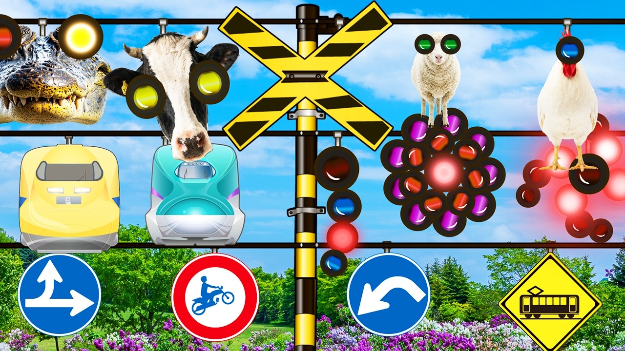 踏切アニメ たくさんの信号の盛り合わせふみきりカンカン Railroad Crossing and train fumikiri ドクターイエロー はやぶさ こまち