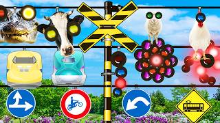 踏切アニメ たくさんの信号の盛り合わせふみきりカンカン Railroad Crossing and train fumikiri  ドクターイエロー はやぶさ こまち