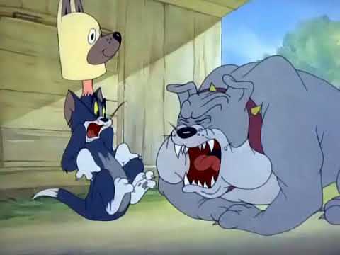 Tom and Jerry | Puttin' on the Dog 1944 | Clip 03