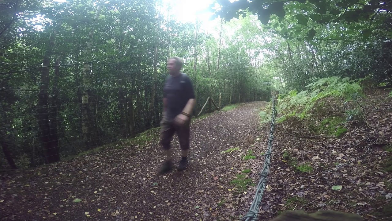 Walking Abinger Roughs, Common & Hatch
