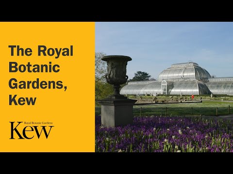 The Royal Botanic Gardens, Kew