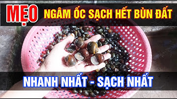 Mẹo ngâm ốc sạch hết bùn đất | @nguyenlix