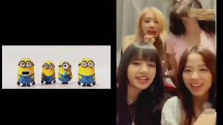 BANANA SONG   MINION Parody by BLACKPINK  JENNIE AND ROSÉ REALLY INTO IT