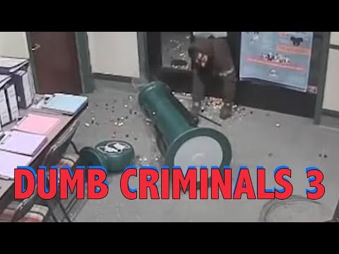 Dumb Criminals 3 || LPE360
