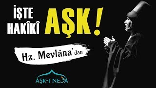 Aşk Nasip İşidir, Hesap İşi Değil.! | Aşk-ı Neva Resimi