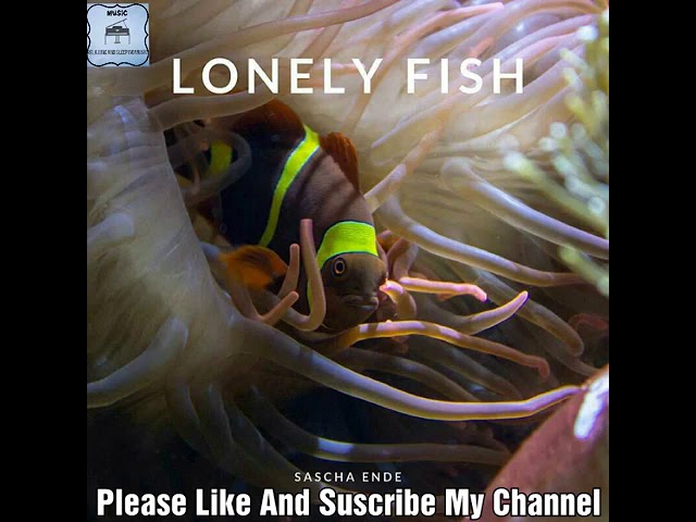Watch #lonely#fish#Sascha#Ende#Relaxing#Sleeping#Music#Filmmusic on YouTube Watch #lonely#fish#Sascha#Ende#Relaxing#Sleeping#Music#Filmmusic on YouTube