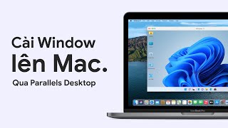 Cài windows 10 trên Mac M1 không cần license 2022