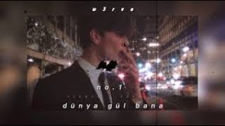 No.1 - Dünya Gül Bana (Slowed + Reverb)