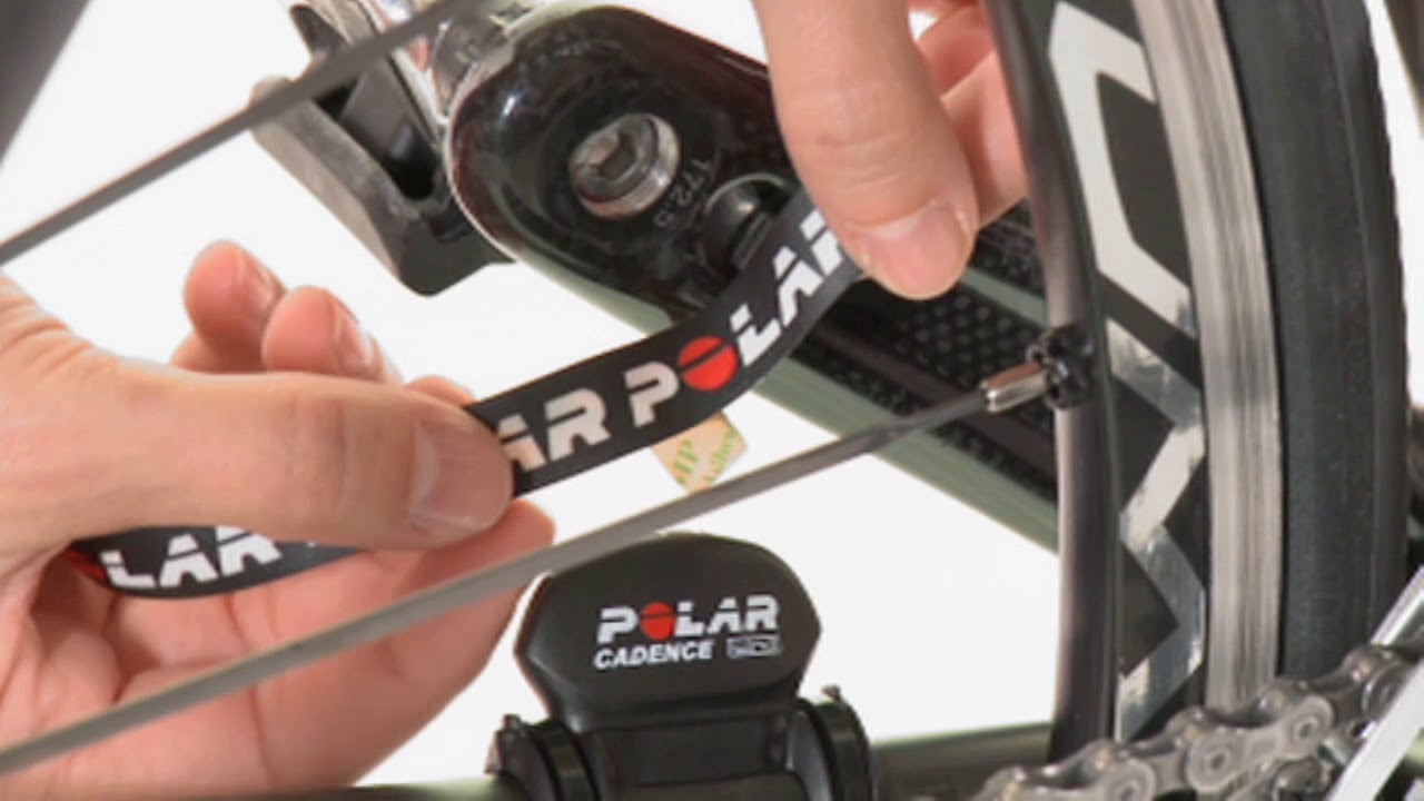 polar beat cadence sensor