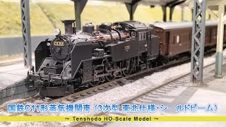 ドイツ 蒸気機関車 HOスケール？ ドイツ 蒸気機関車 HOスケール？