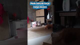 hari 1puasa #diy #woodworking