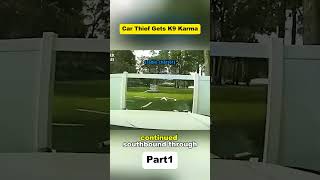 Car Thief Gets K9 Karma#cops #copsusa🚔🇺🇸 #policeofficer #bodycam #foryou
