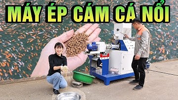 Tiết Kiệm Chi Phí Nuôi Cá Bằng Máy Ép Cám Viên Nổi 100K Với Quà Tặng Trị Giá Hàng Triệu Đồng