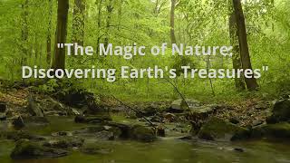 The Magic of Nature Discovering Earth's Treasures