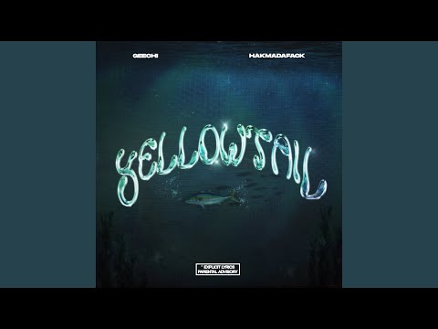 在 YouTube 上观看 Yellowtail