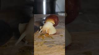 En Moyenne, Ils Vivent Entre 5 Et 10 Anset Parfois Plus Avec De Bons Soins.