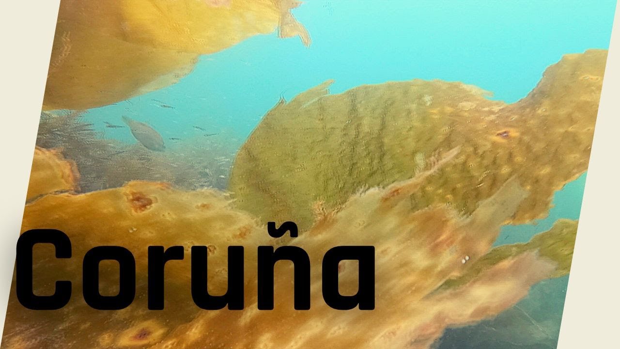 SUBMARINISMO en CORUÑA