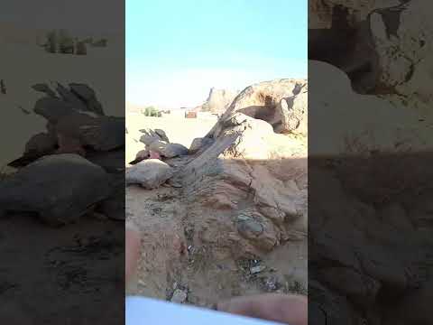 ديما لعشية نعاني مع الكونيكسيو وزادو حرقو الزوبيا ودخنو علينا دوكا حلها الواد وصاي